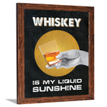 Bar Whiskey Quotes