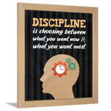 Discipline